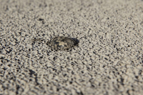 硅酸鹽水泥 硅酸鹽水泥